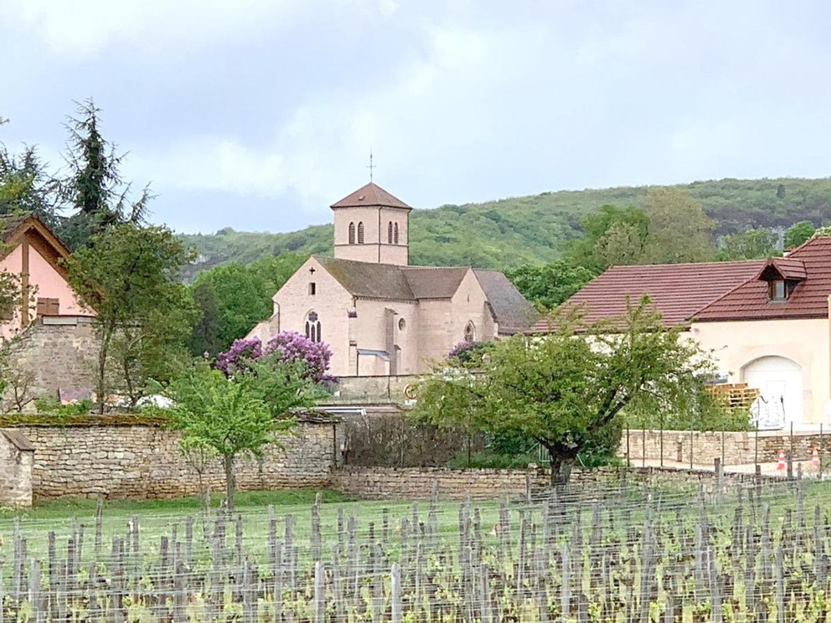 Le Richebourg - Charmant T2 Cosy, Tout Confort Gevrey-Chambertin Dış mekan fotoğraf
