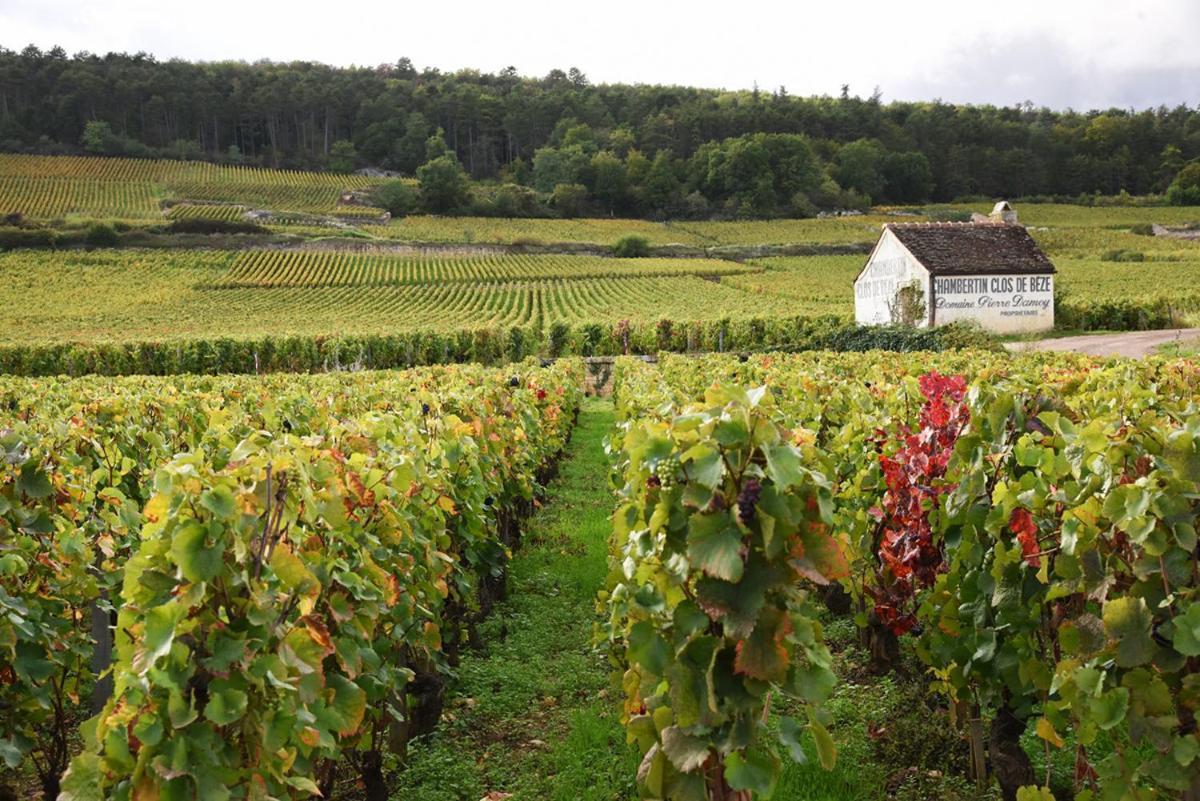 Le Richebourg - Charmant T2 Cosy, Tout Confort Gevrey-Chambertin Dış mekan fotoğraf
