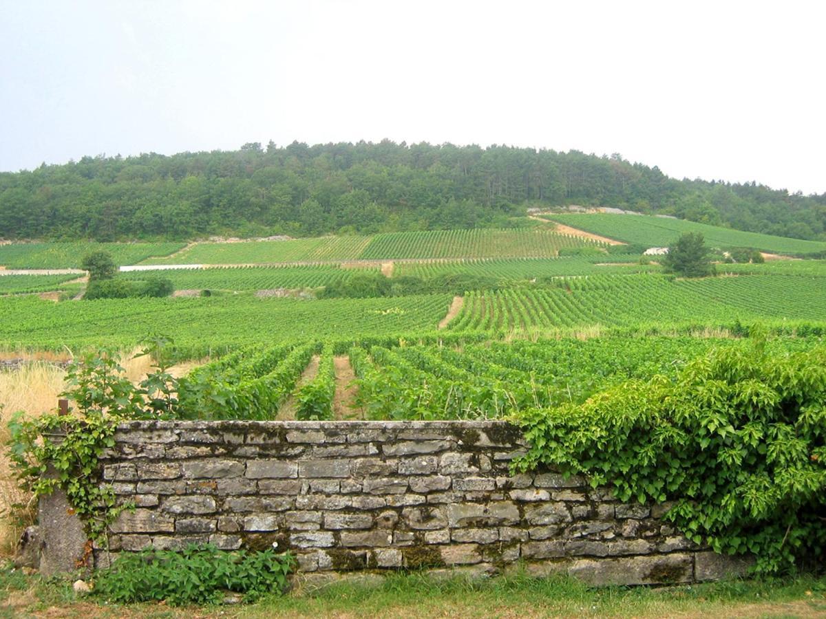 Le Richebourg - Charmant T2 Cosy, Tout Confort Gevrey-Chambertin Dış mekan fotoğraf