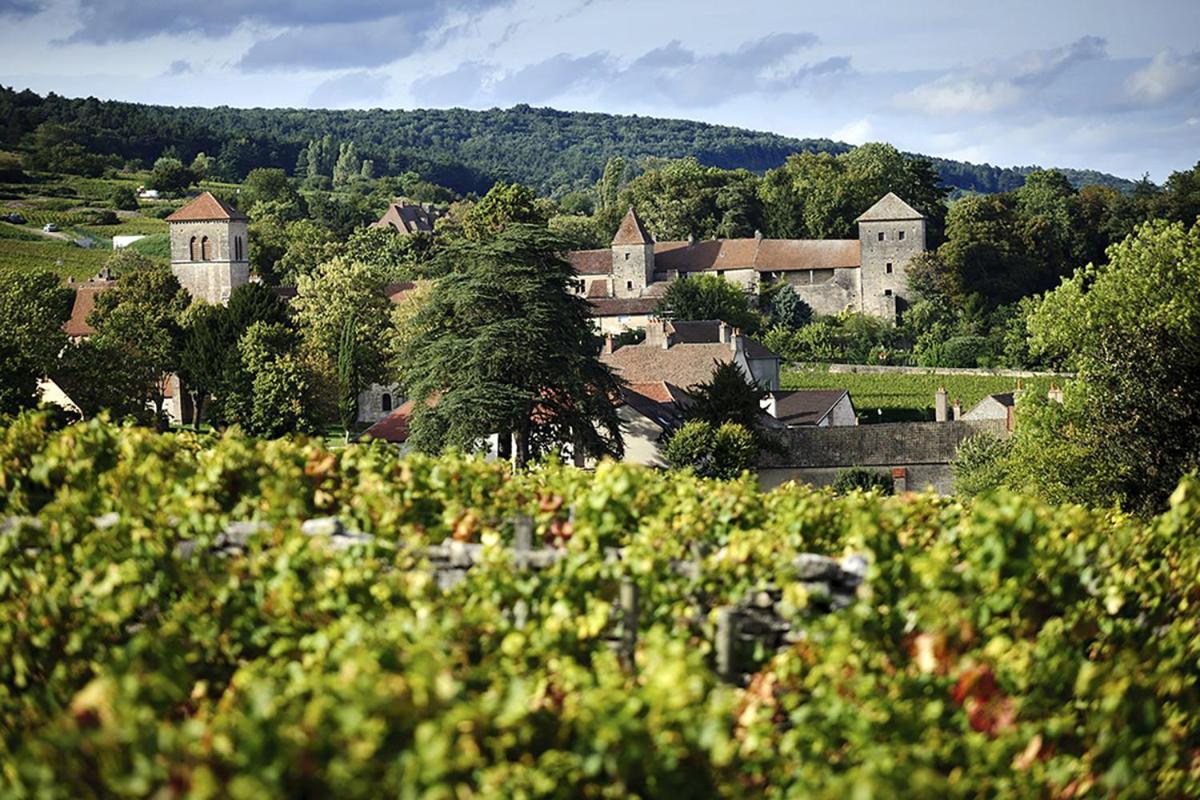 Le Richebourg - Charmant T2 Cosy, Tout Confort Gevrey-Chambertin Dış mekan fotoğraf