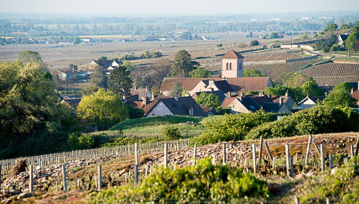 Le Richebourg - Charmant T2 Cosy, Tout Confort Gevrey-Chambertin Dış mekan fotoğraf