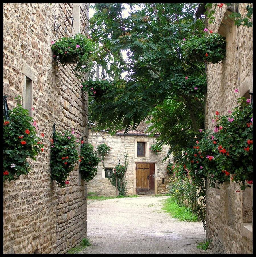 Le Richebourg - Charmant T2 Cosy, Tout Confort Gevrey-Chambertin Dış mekan fotoğraf